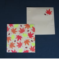 １煎パック　37　紅葉