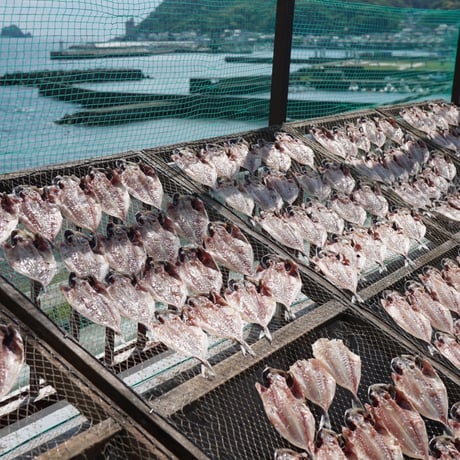 【送料無料】無添加 干物セット（島源商店）※直送クール便につき他の商品と同梱不可