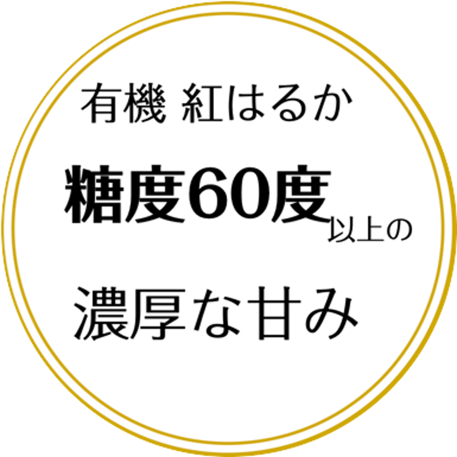 65dd9cb4f7672e0699d6c925