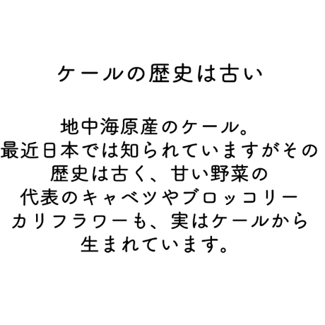 静岡県産 有機JAS認証ケール　約500ｇ