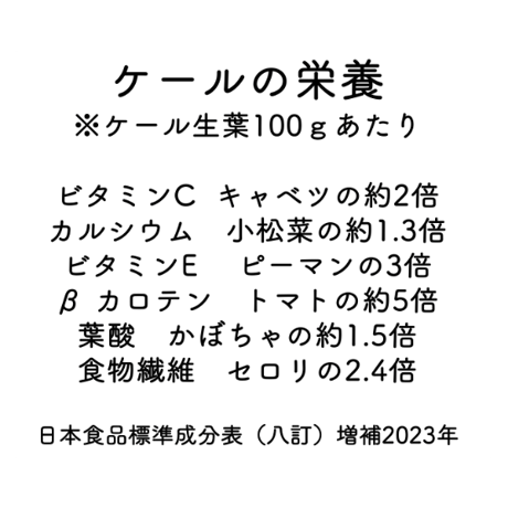 静岡県産 有機JAS認証ケール　約500ｇ