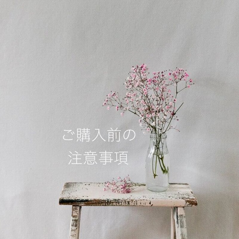 ご購入前にご一読お願い致します ＜お買い物に関する表記＞ | harecase
