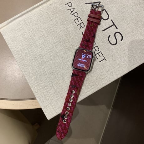 【N567】冬 アップル ウォッチ series 11 バンド 女性 人気 apple watch バンド かわいい