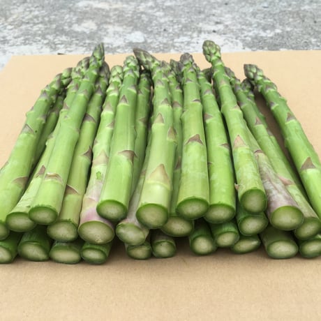 【数量限定】春風のアスパラ　２Ｌ～３Ｌサイズ混合　１ｋｇ