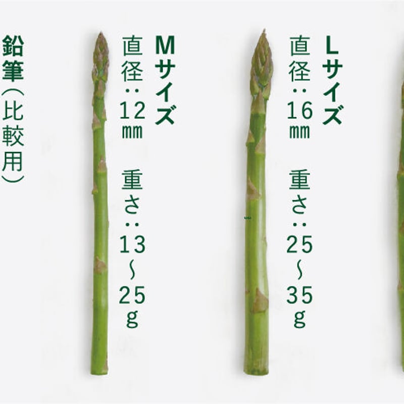 アスパラさん専用 ツナとアスパラガスのあおさがゆ（BFR003-3）(sk250020)｜阪神