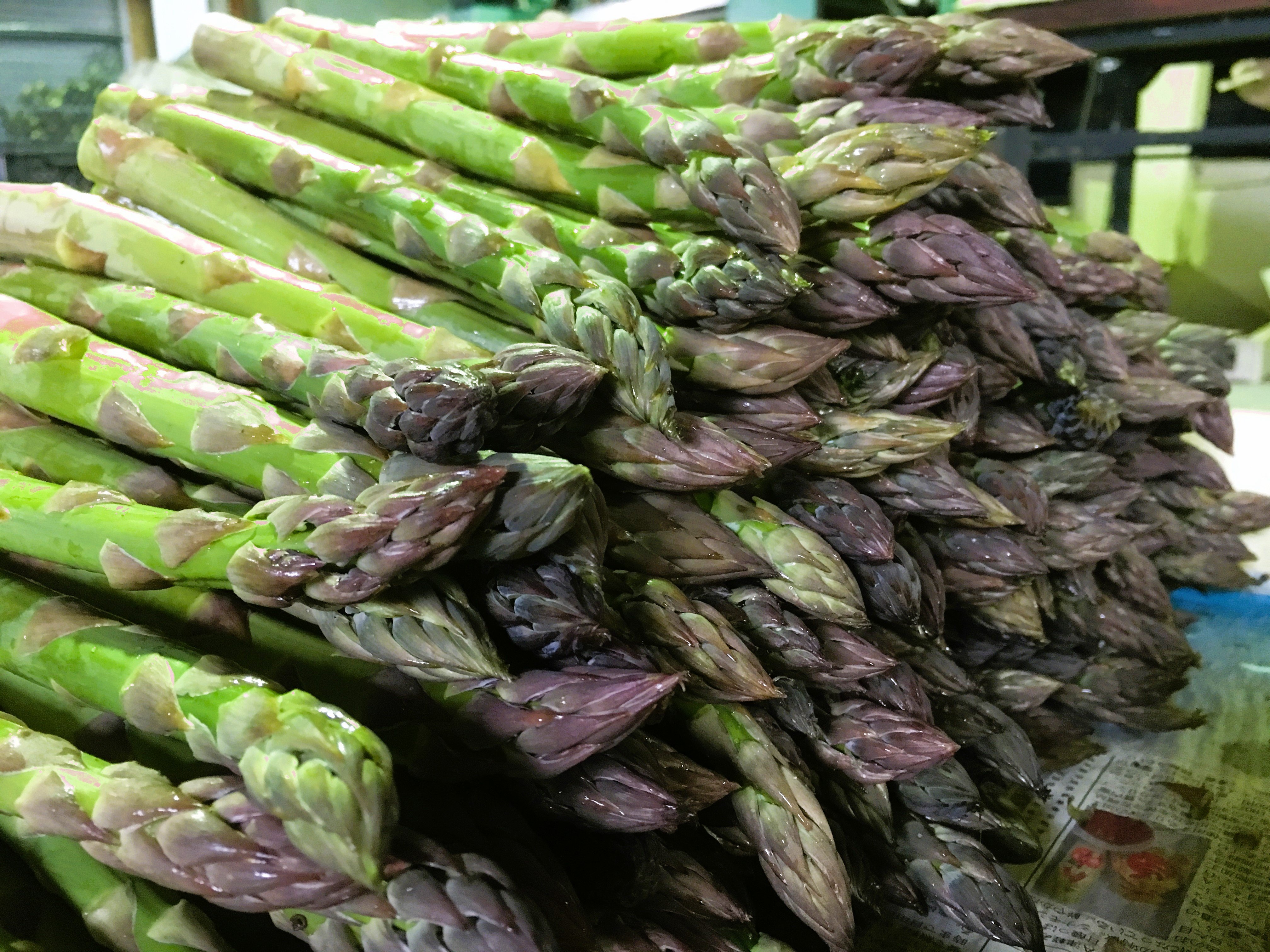 数量限定】春風のアスパラ 2L～3Lサイズ混合 1kg | 清水農園