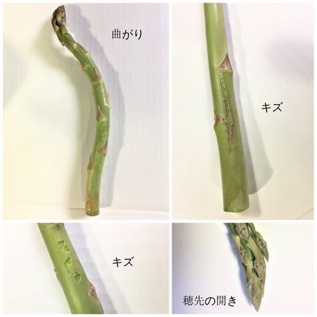 【優品】春風のアスパラ　Ｓ～２Ｌサイズ混合　１ｋｇ