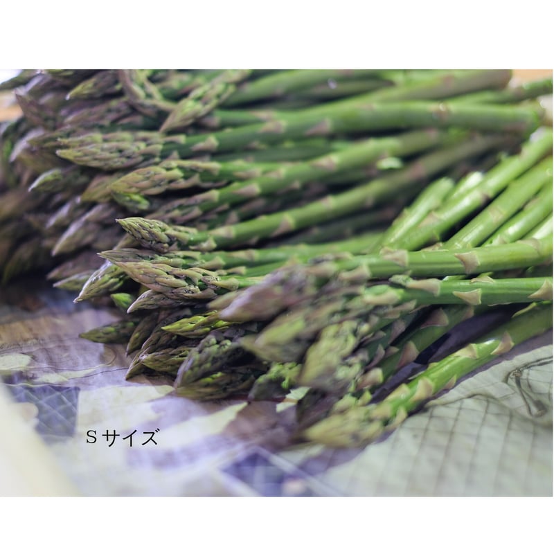優品】春風のアスパラ S～2Lサイズ混合 1kg | 清水農園