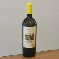 ギウアーニ/ムツヴァネ　クヴェヴリ　2022　オレンジワイン/750ml