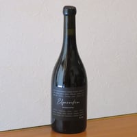 カーヴ・イルレギー/イルレギー・ルージュ　エレガレキン　2021
　赤ワイン/750ml