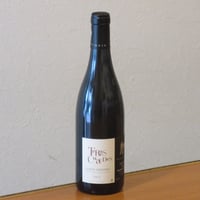 ドメーヌ・デ・ロッシュ・ヌーヴ/ソミュール・シャンピニー　テール・ショード　2012　赤ワイン/750ml