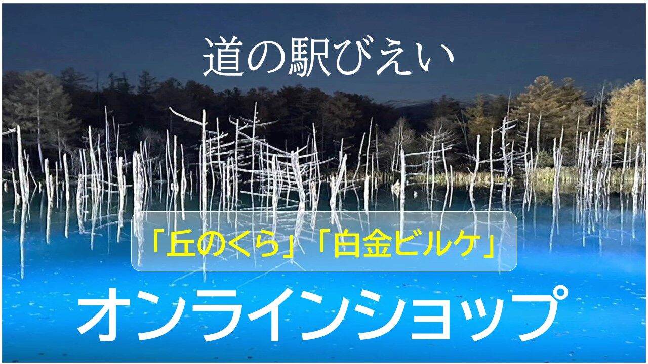 道の駅　びえい