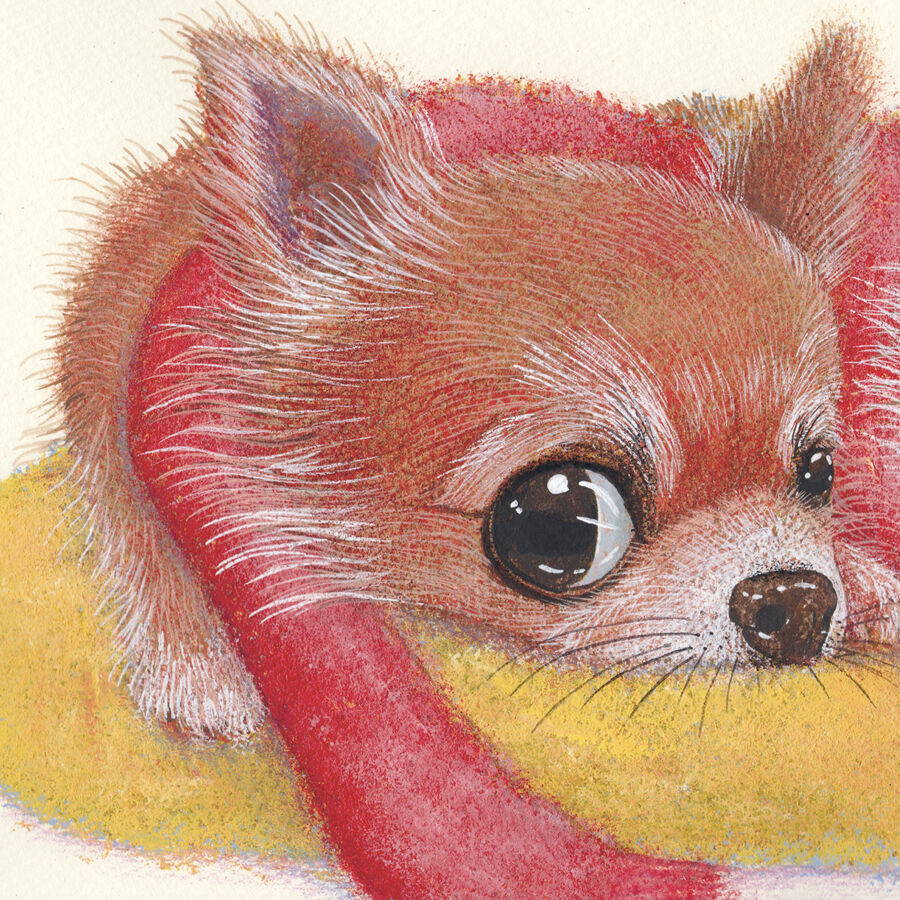 fit=scale-down,w=1200