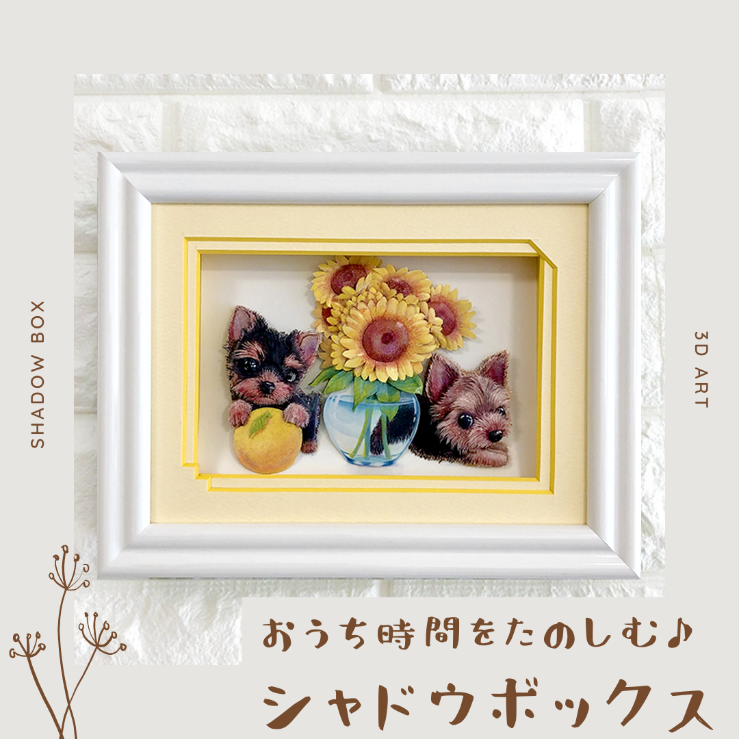 シンセリティ シャドウボックス アメリカ町のサテンとククモノ展