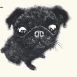 ぼくぱぐ工房  BOKUPUG'S GALLERY