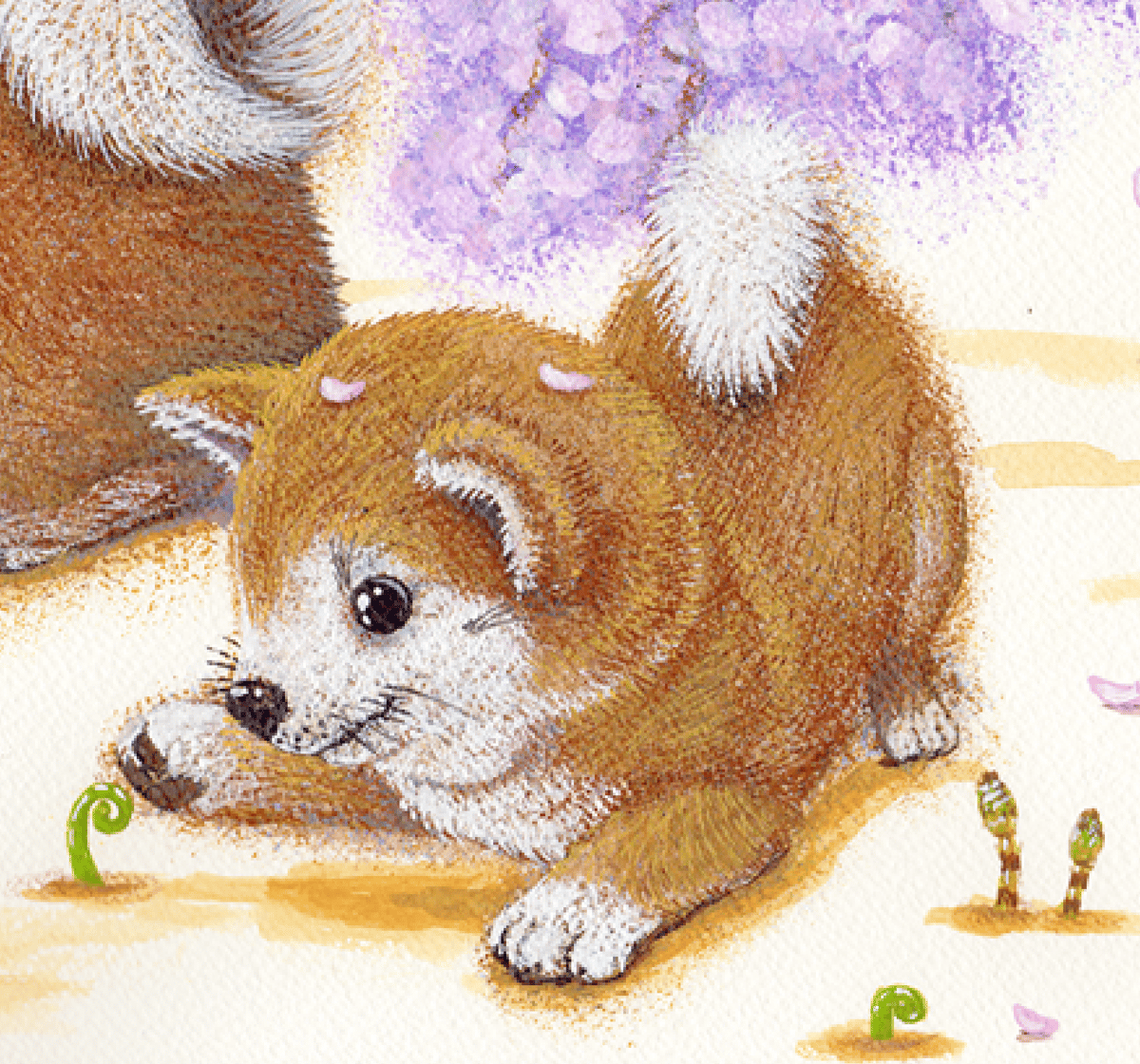 柴犬】うちの子絵画『らんまん』イラスト（額・マット付き）オリジナル