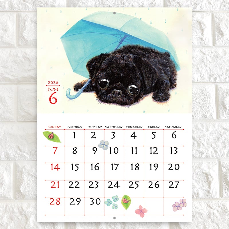 パグのカレンダー2026 壁掛け『ぱぐ』 | ぼくぱぐ工房 BOKUPUG'S GALLERY