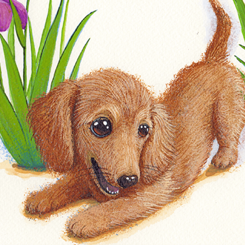 ダックスフンド】うちの子絵画『あそぼ』イラスト（額・マット