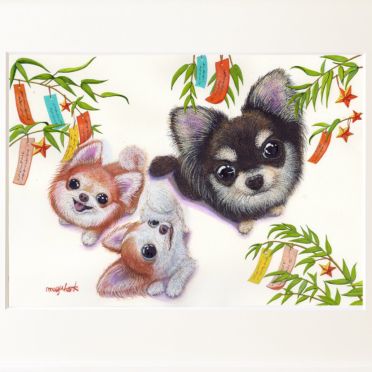 fit=scale-down,w=1200