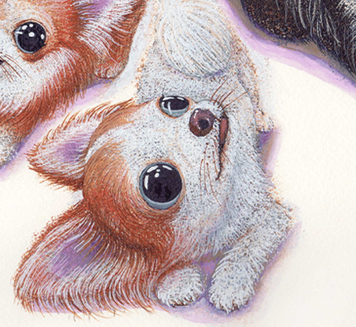 チワワ】うちの子絵画『天までとどけ』イラスト（額・マット付き