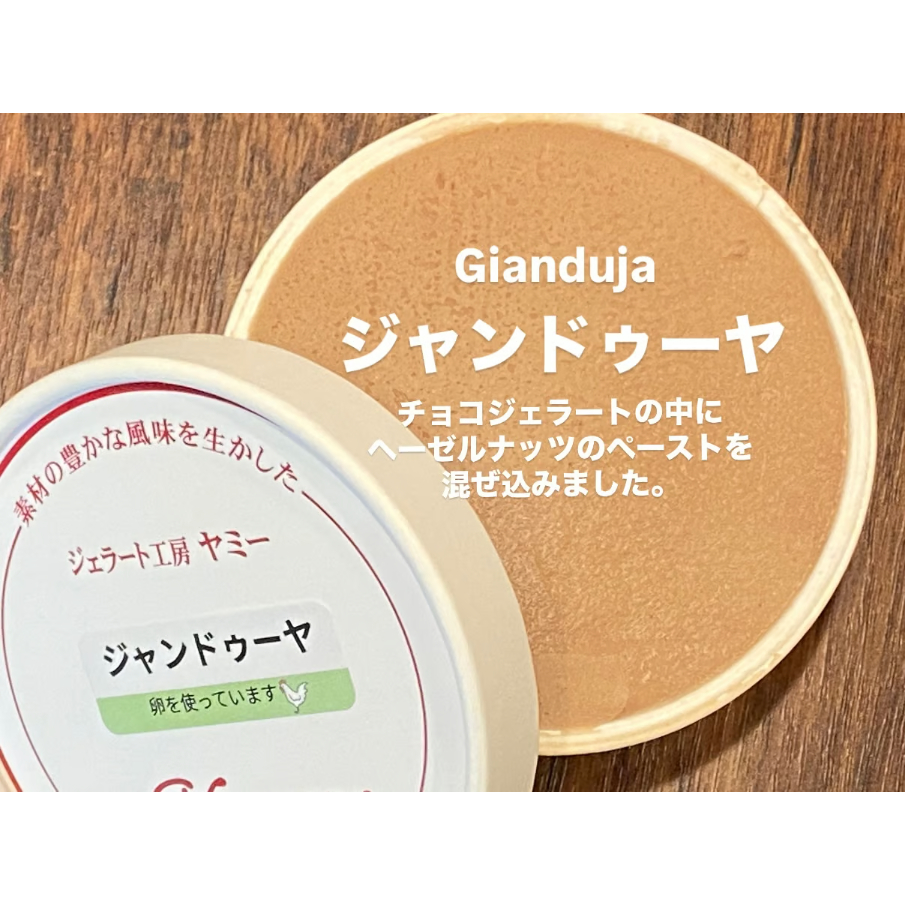 Yummyジェラート 人気定番12個セット | ジェラート工房 ヤミー