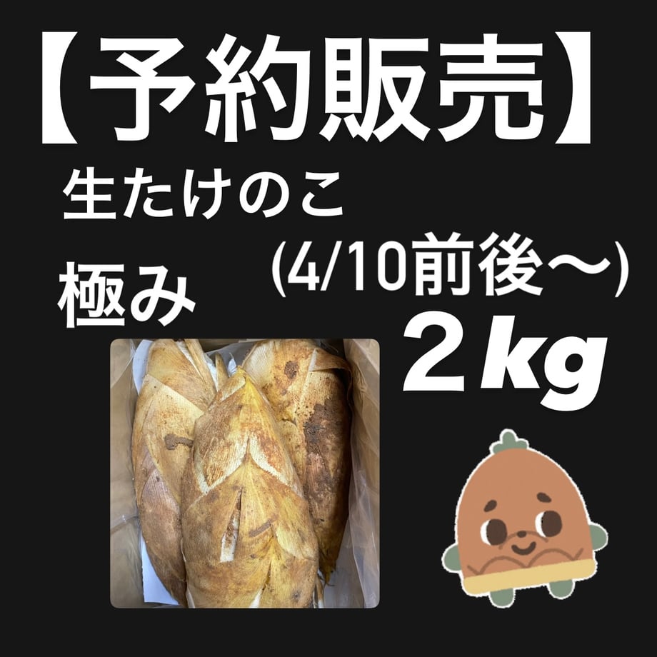 67ca4f6a65f665405a9ce976