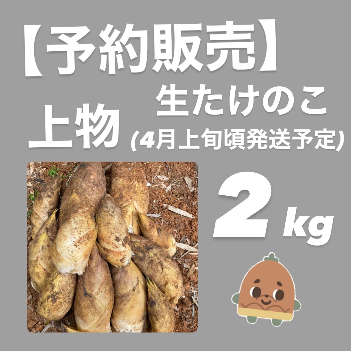 予約販売】上物 生たけのこ2kg □4月上旬より発送予定 | やまもとたけのこ