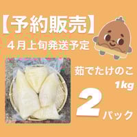 【予約販売】4月上旬頃より発送予定■茹でたけのこ１kg ×2