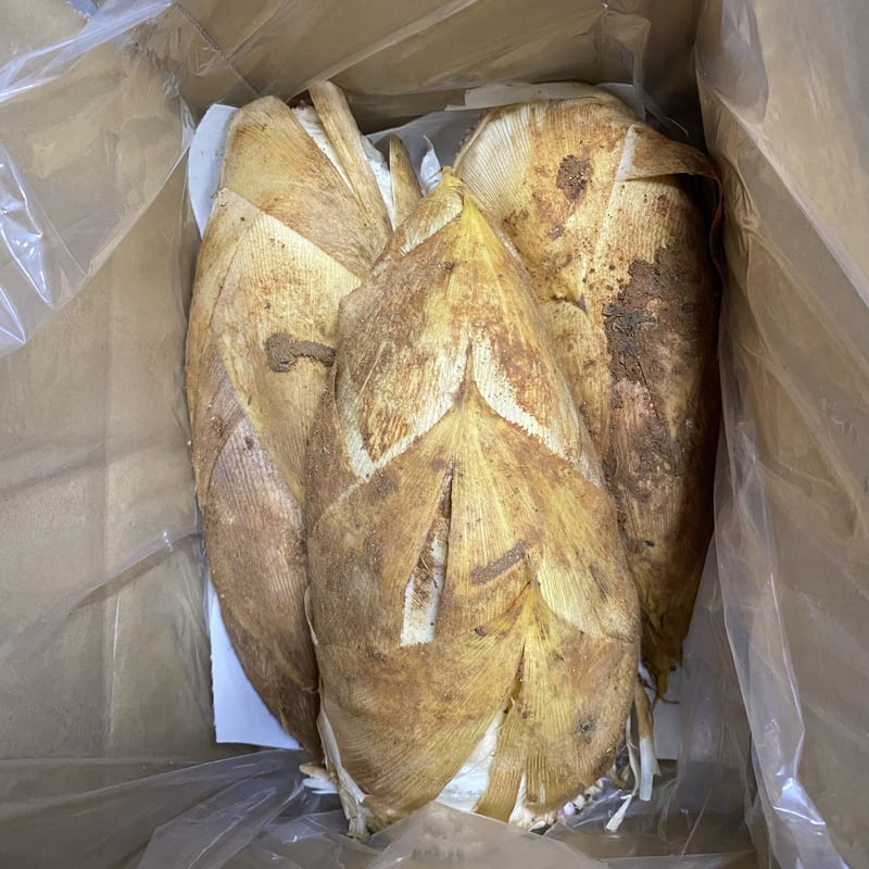 予約販売】極み 生たけのこ 2kg □3月下旬頃より発送 予約販売】極み 生たけのこ 2kg □3月下旬頃より発送