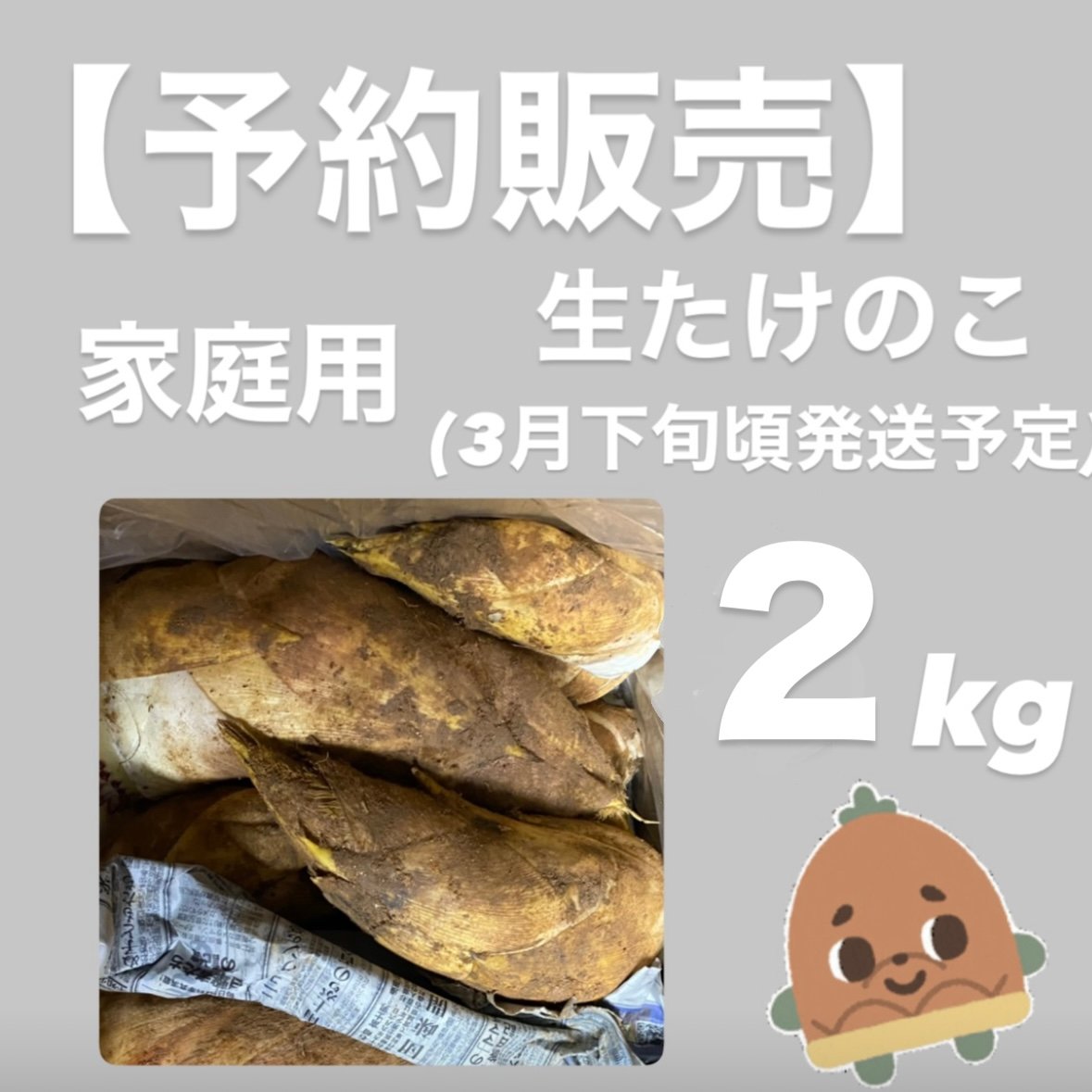 予約販売】2kg ご家庭用 生たけのこ □3月下旬より発送予定