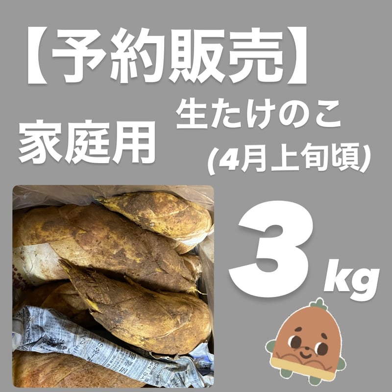 ひまわり☆様専用 鹿児島県産 生たけのこ 3Kg