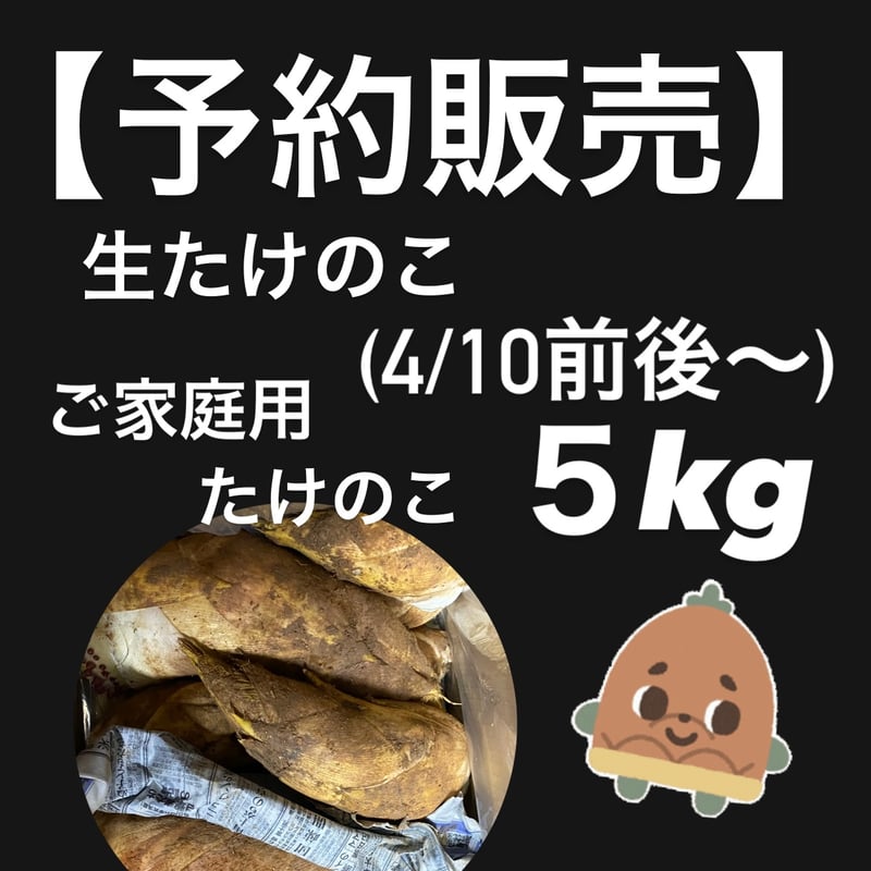 予約販売】 ご家庭用 生たけのこ5kg□4/10前後より発送予定