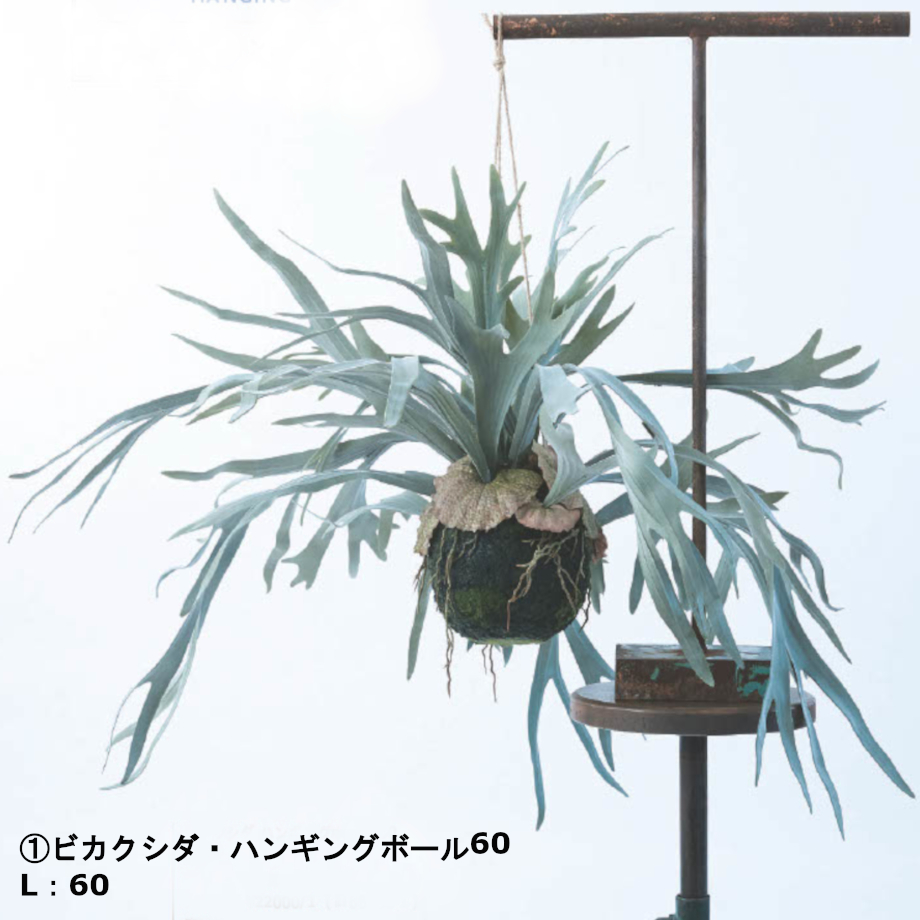 65e27d10c52ca906f72cc0aa