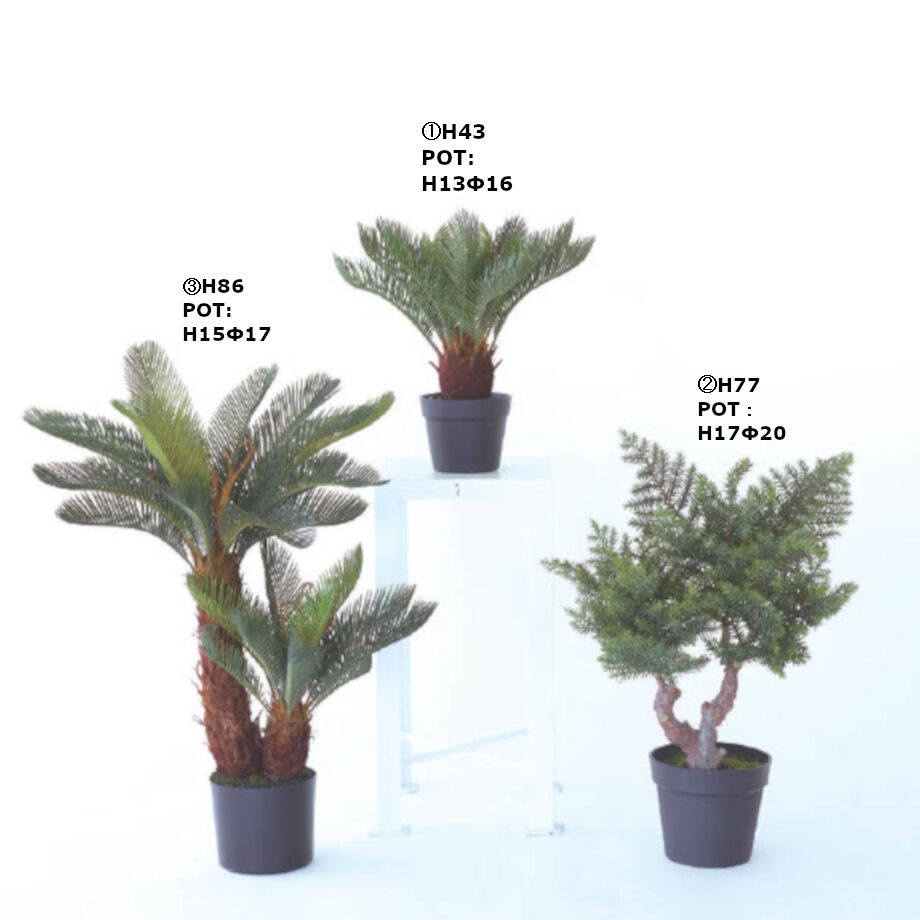 フェイクグリーン ソテツ ポット | My-Favthings