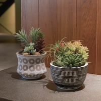 フェイクグリーン ユッカ ロストラータ ポット 94/120 | My-Favthings