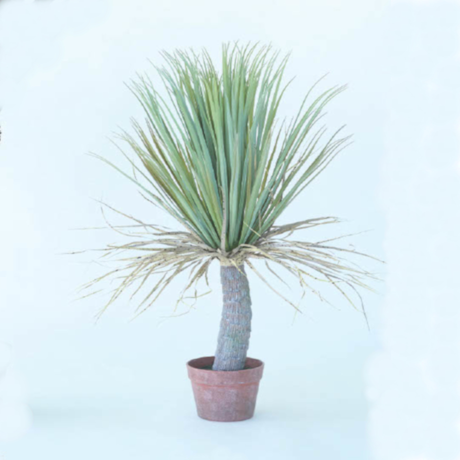 フェイクグリーン ユッカ ポット | My-Favthings