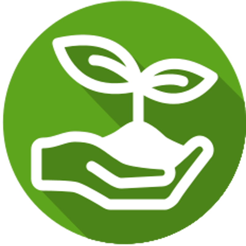 サンスベリア ヘッジホック サンセベリア：ヘッジホッグ 2.5号鉢植え の通販 | 園芸ネット