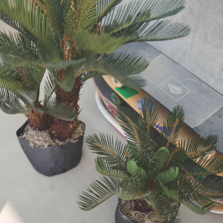 ➁【処分価格】新品 ソテツ 人工観葉植物 フェイクグリーン インテリア　高品質 ①【処分価格】新品 ソテツ 人工観葉植物 フェイクグリーン インテリア