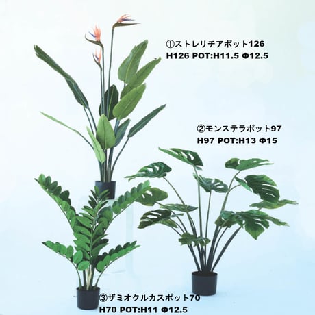 フェイクグリーン ストレリチア モンステラ ザミオクルカス ポット