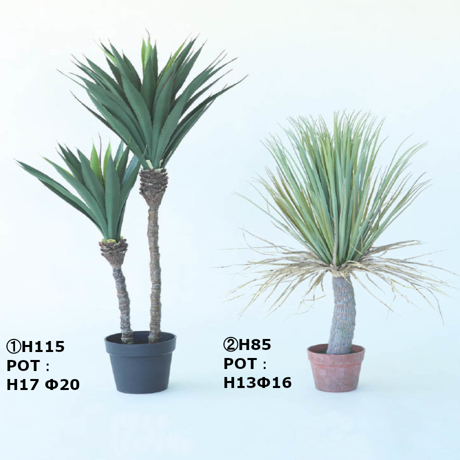 光触媒　人工観葉植物　ウォールグリーン　フェイクグリーン　フラワー　ユッカポット フェイクグリーン ユッカ ポット | My-Favthings
