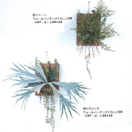 フェイクグリーン ウォールハンギング 20