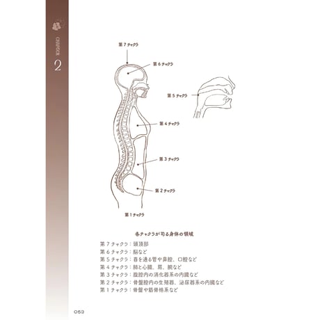 【限定】チャクラの教科書 特装版｜著者サイン本