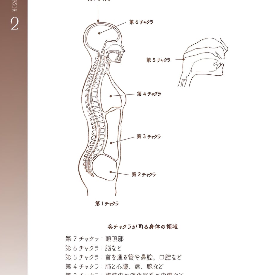 6701e5751685c9053b81d908