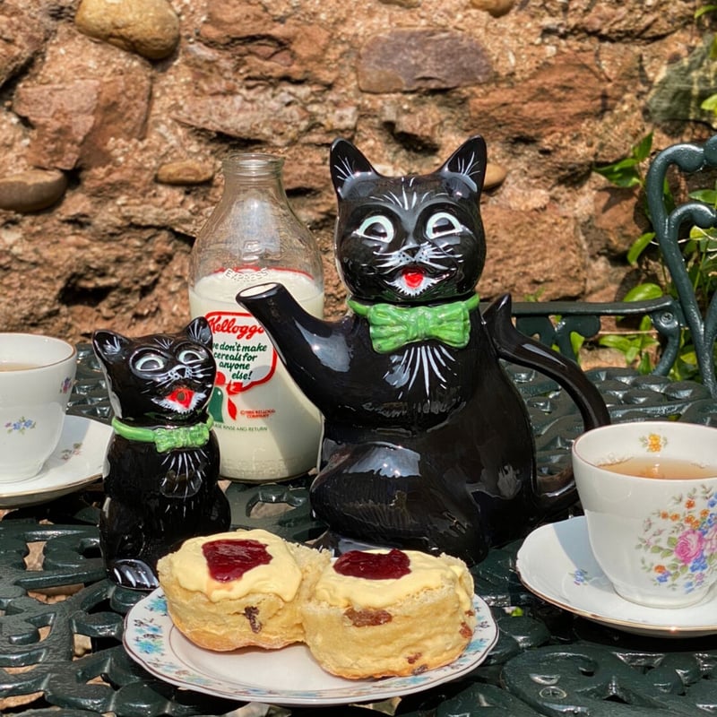 残りわずか☆Black Cat Tea Pot 