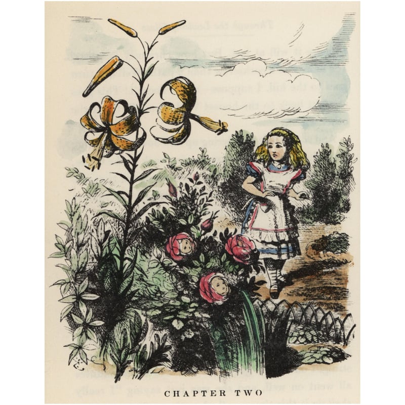 しゃべる花の庭にアリス 「鏡の国のアリス」 | ジェフリー夫妻のアート