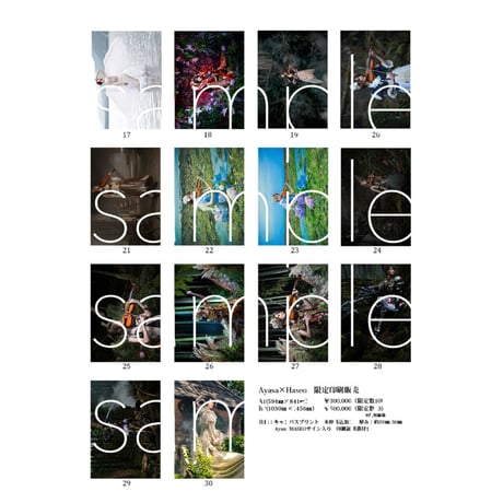 【本】「アートブック(ART BOOK)/CHRONICLE/Ayasa×HASEO」