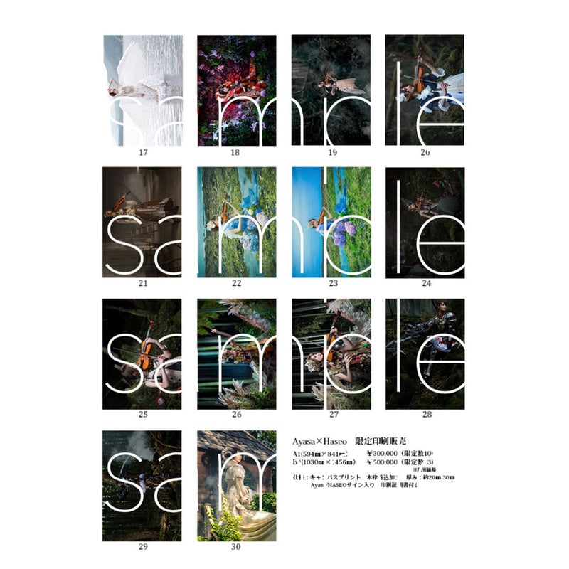 本】「アートブック(ART BOOK)/CHRONICLE/Ayasa×HASEO」 | J