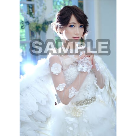 【本】「アートブック(ART BOOK)/CHRONICLE/Ayasa×HASEO」
