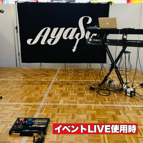 📣瞬殺で終了いたしました。ありがとうございます。【バックドロップ(ロゴ幕)】