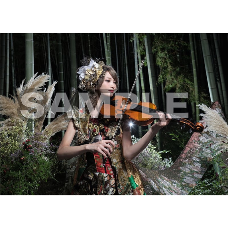Ayasa×HASEO CHRONICLE 本】「アートブック(ART BOOK)/CHRONICLE